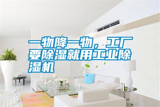 一物降一物,工廠要除濕就用工業(yè)除濕機