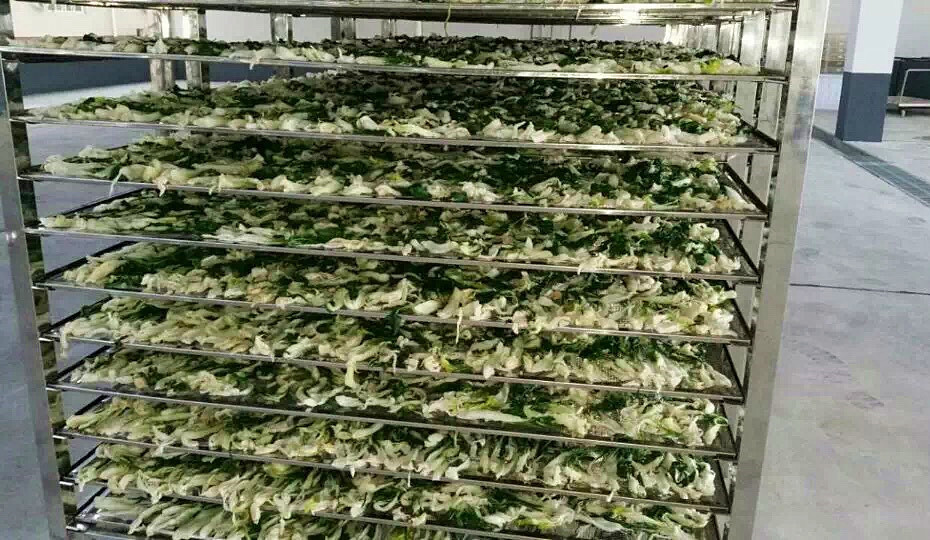 1564448491.jpg 1564448491.jpg