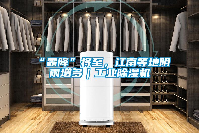 “霜降”將至,江南等地陰雨增多|工業除濕機