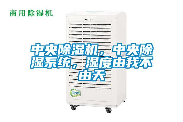中央除濕機，中央除濕系統，濕度由我不由天