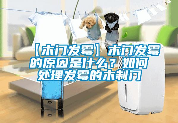 【木門發霉】木門發霉的原因是什么？如何處理發霉的木制門