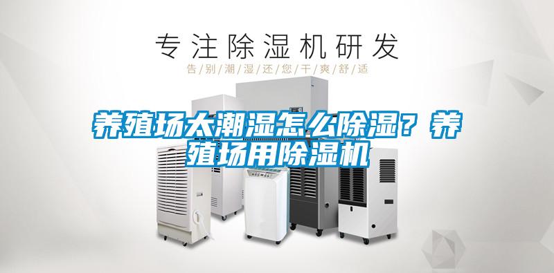 養殖場太潮濕怎么除濕?養殖場用除濕機
