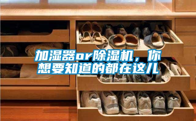 加濕器or除濕機(jī)，你想要知道的都在這兒