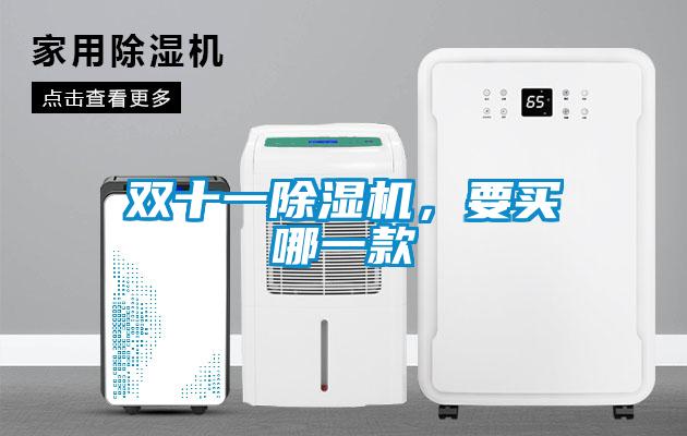 雙十一除濕機(jī)，要買(mǎi)哪一款