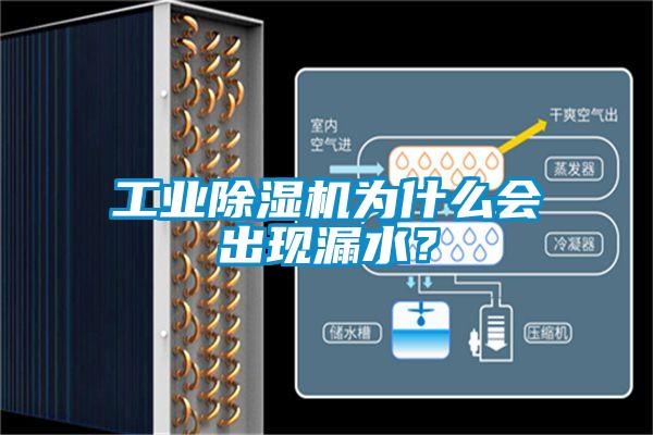 工業除濕機為什么會出現漏水?