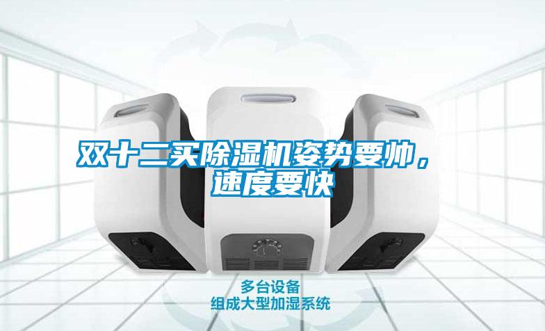 雙十二買除濕機姿勢要帥， 速度要快