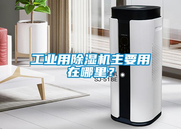 工業用除濕機主要用在哪里?