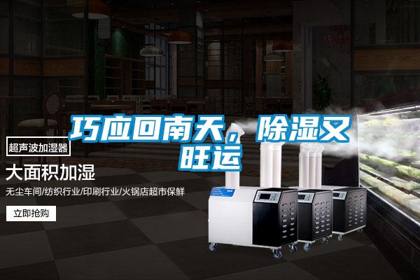 巧應(yīng)回南天，除濕又旺運