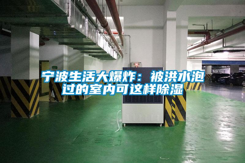寧波生活大爆炸:被洪水泡過(guò)的室內(nèi)可這樣除濕