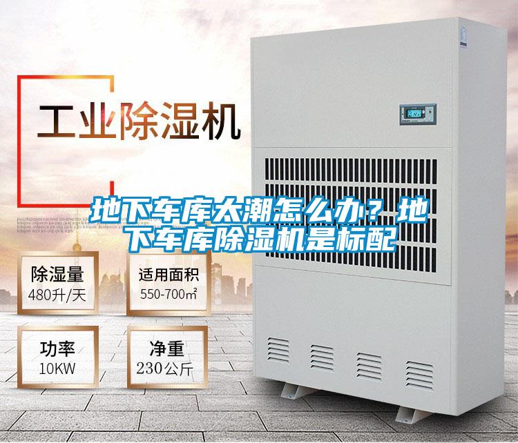 地下車庫太潮怎么辦?地下車庫除濕機是標配
