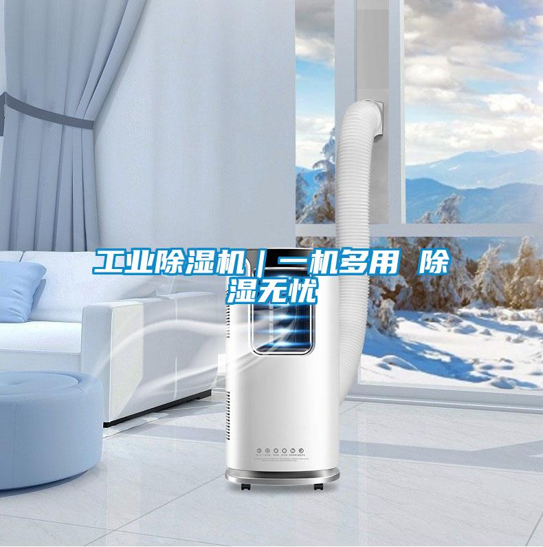 工業(yè)除濕機(jī)|一機(jī)多用 除濕無(wú)憂