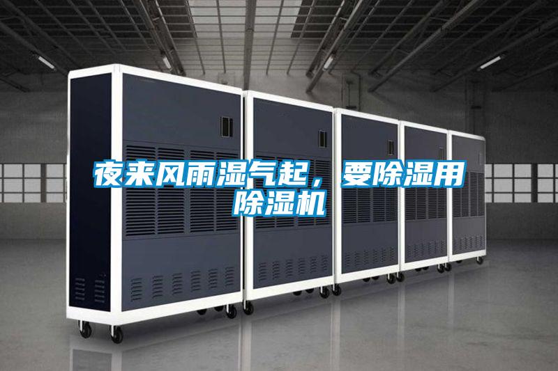 夜來風雨濕氣起,要除濕用除濕機