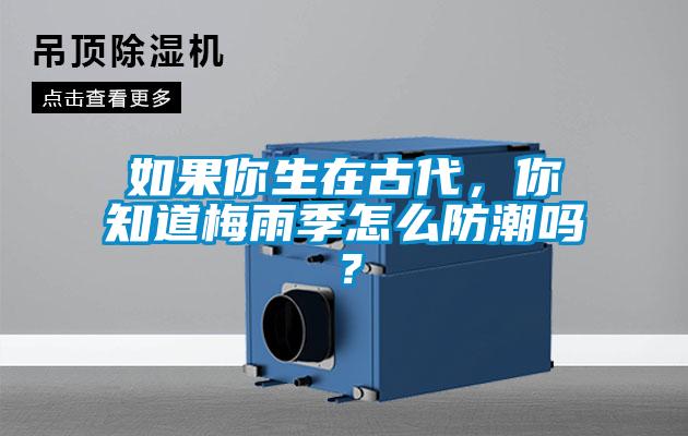 如果你生在古代,你知道梅雨季怎么防潮嗎?