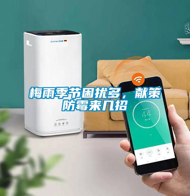 梅雨季節(jié)困擾多，獻策防霉來幾招