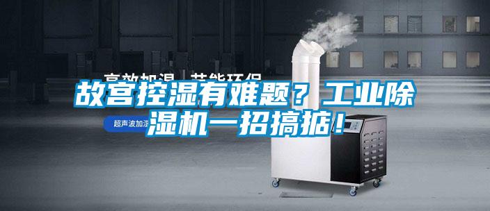 故宮控濕有難題？工業(yè)除濕機一招搞掂！