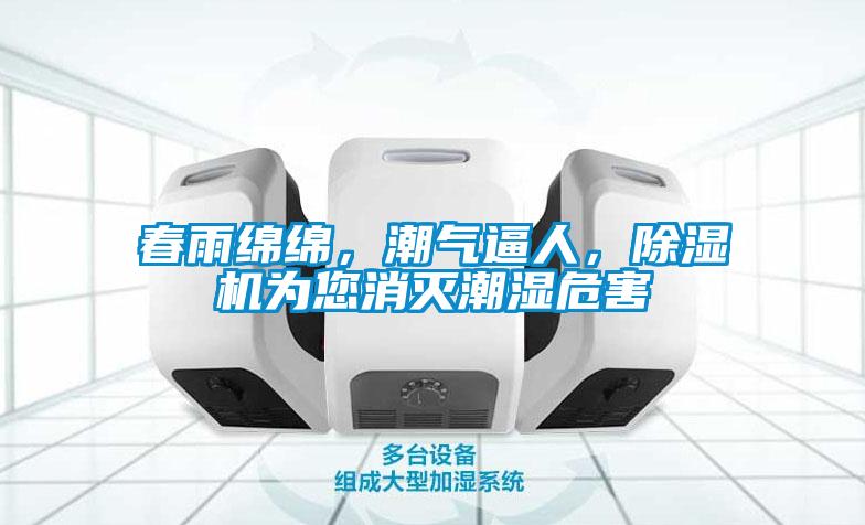 春雨綿綿，潮氣逼人，除濕機為您消滅潮濕危害