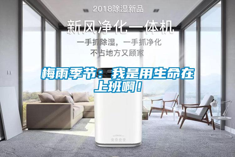 梅雨季節(jié):我是用生命在上班啊!