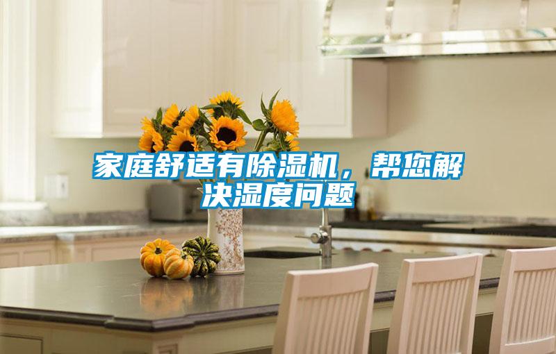 家庭舒適有除濕機，幫您解決濕度問題