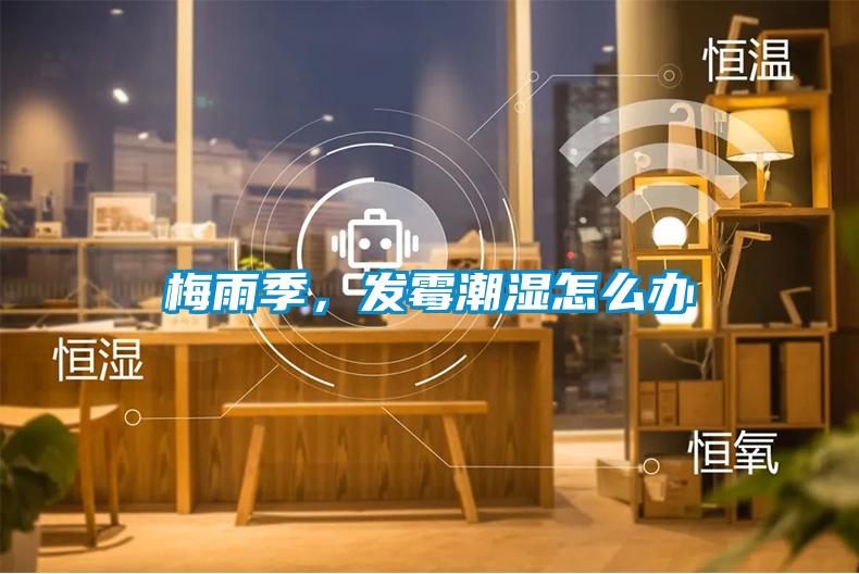 梅雨季,發(fā)霉潮濕怎么辦