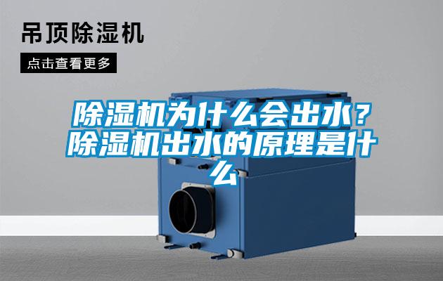 除濕機(jī)為什么會出水？除濕機(jī)出水的原理是什么