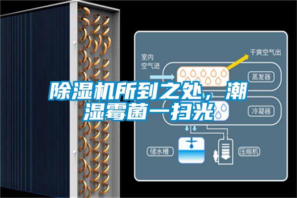 除濕機所到之處，潮濕霉菌一掃光