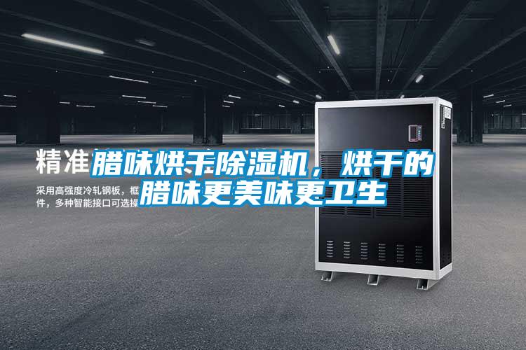 臘味烘干除濕機,烘干的臘味更美味更衛生