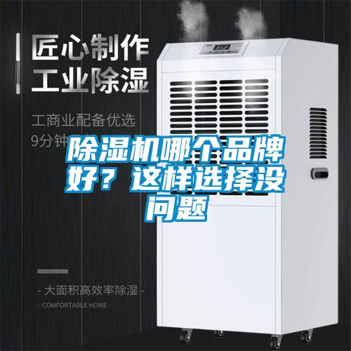 除濕機(jī)哪個品牌好？這樣選擇沒問題