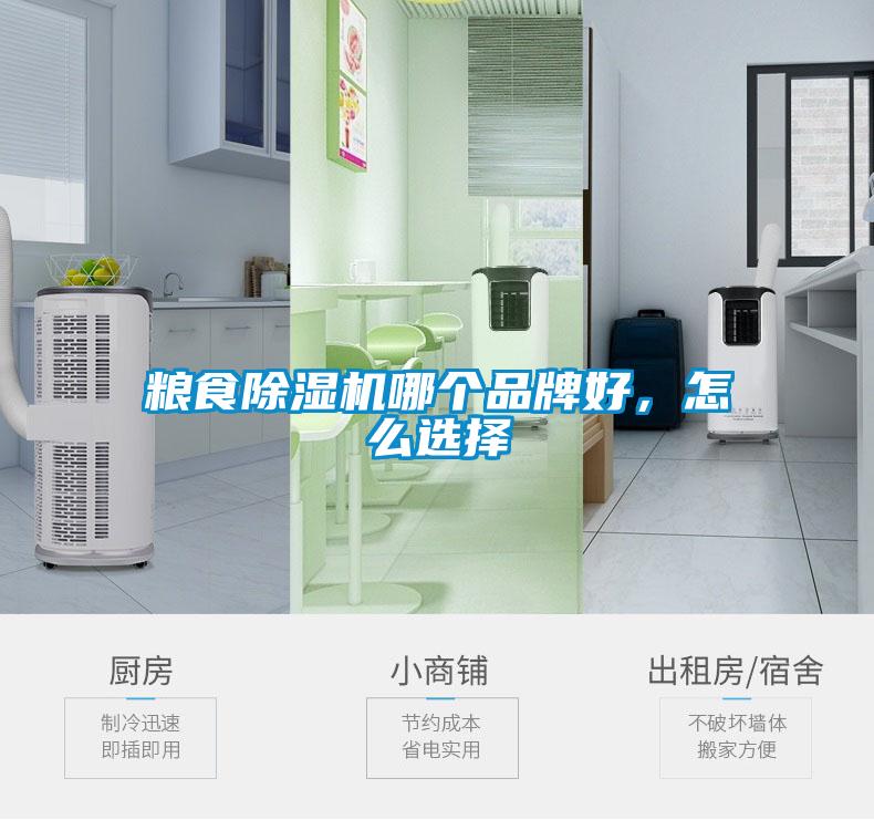 糧食除濕機(jī)哪個品牌好，怎么選擇