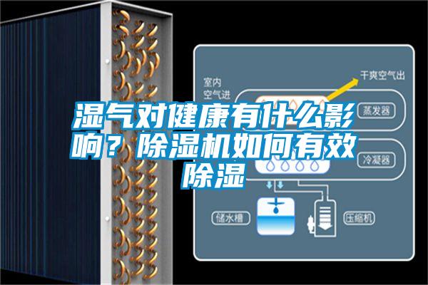 濕氣對健康有什么影響？除濕機如何有效除濕