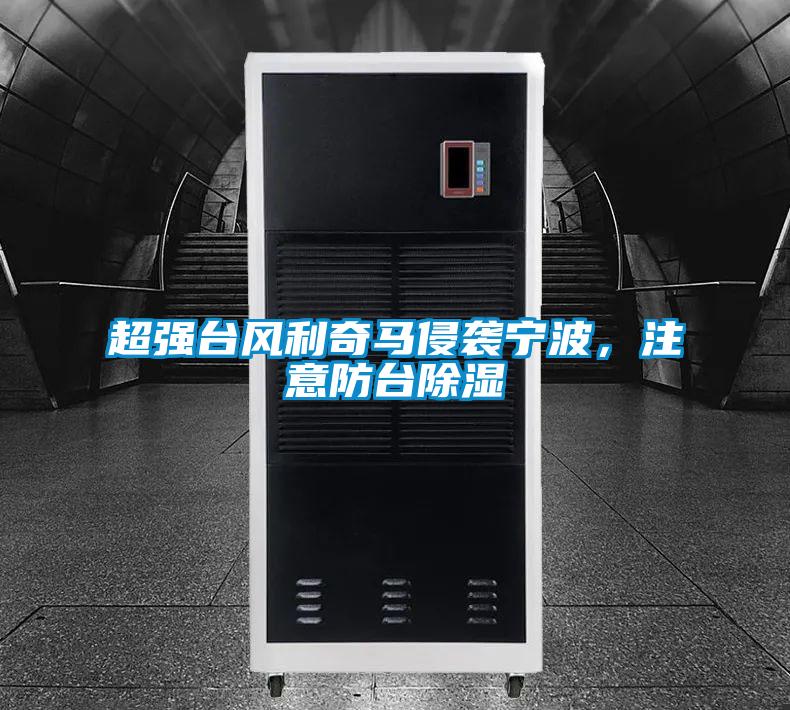 超強(qiáng)臺(tái)風(fēng)利奇馬侵襲寧波，注意防臺(tái)除濕