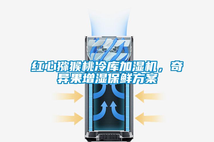 紅心獼猴桃冷庫加濕機,奇異果增濕保鮮方案