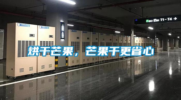 烘干芒果，芒果干更省心