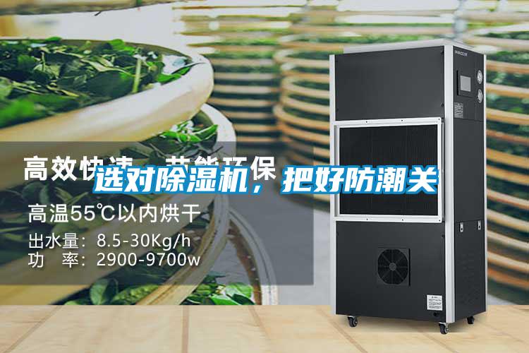 選對除濕機，把好防潮關