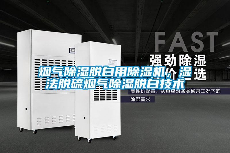 煙氣除濕脫白用除濕機，濕法脫硫煙氣除濕脫白技術(shù)