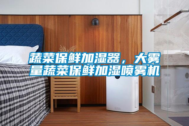 蔬菜保鮮加濕器,大霧量蔬菜保鮮加濕噴霧機(jī)