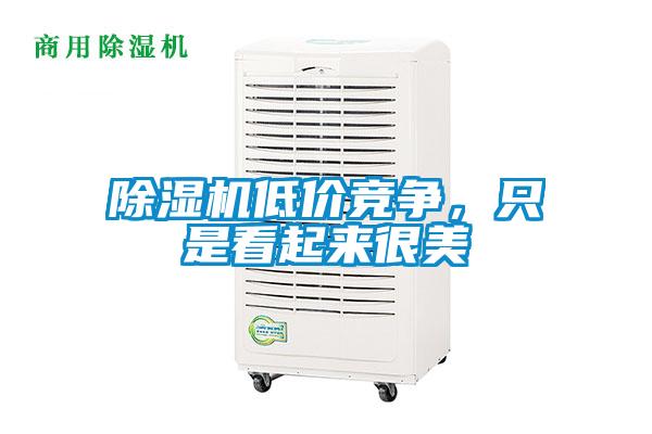 除濕機低價競爭,只是看起來很美