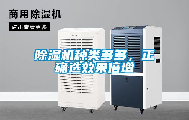 除濕機種類多多，正確選效果倍增