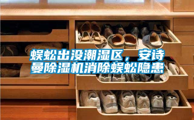 蜈蚣出沒潮濕區,安詩曼除濕機消除蜈蚣隱患
