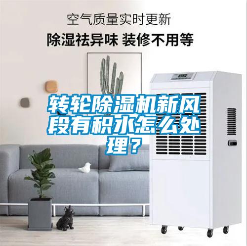 轉輪除濕機新風段有積水怎么處理？