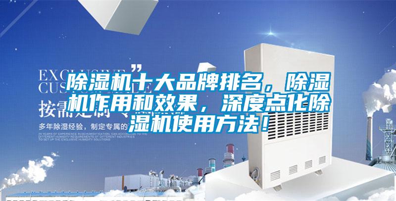 除濕機十大品牌排名，除濕機作用和效果，深度點化除濕機使用方法！