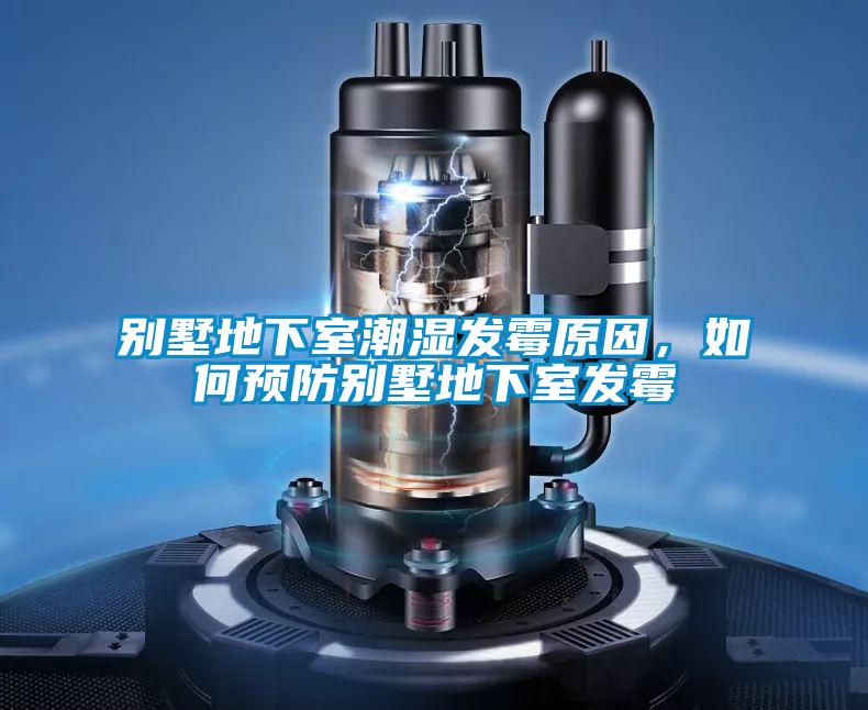 別墅地下室潮濕發霉原因，如何預防別墅地下室發霉