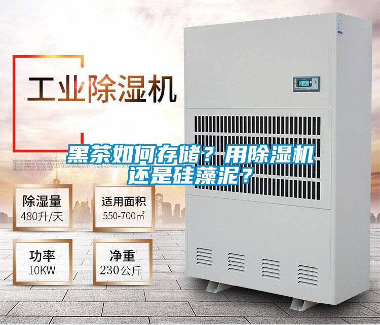 黑茶如何存儲？用除濕機還是硅藻泥？