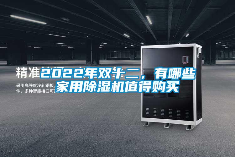 2022年雙十二，有哪些家用除濕機值得購買