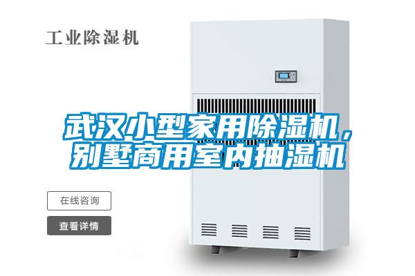 武漢小型家用除濕機(jī)，別墅商用室內(nèi)抽濕機(jī)