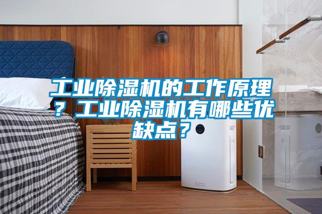 工業除濕機的工作原理?工業除濕機有哪些優缺點?