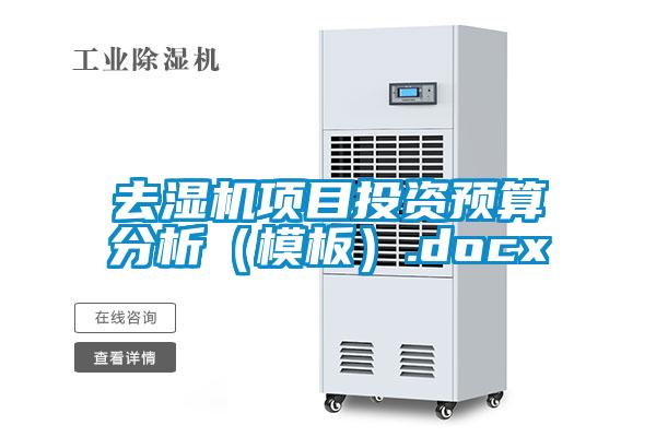 去濕機項目投資預算分析(模板).docx