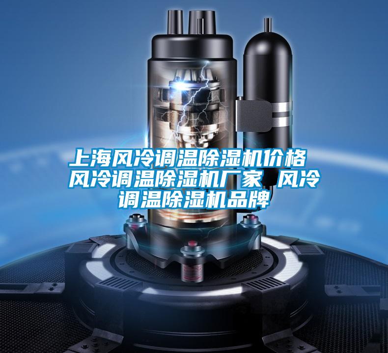 上海風冷調(diào)溫除濕機價格 風冷調(diào)溫除濕機廠家 風冷調(diào)溫除濕機品牌