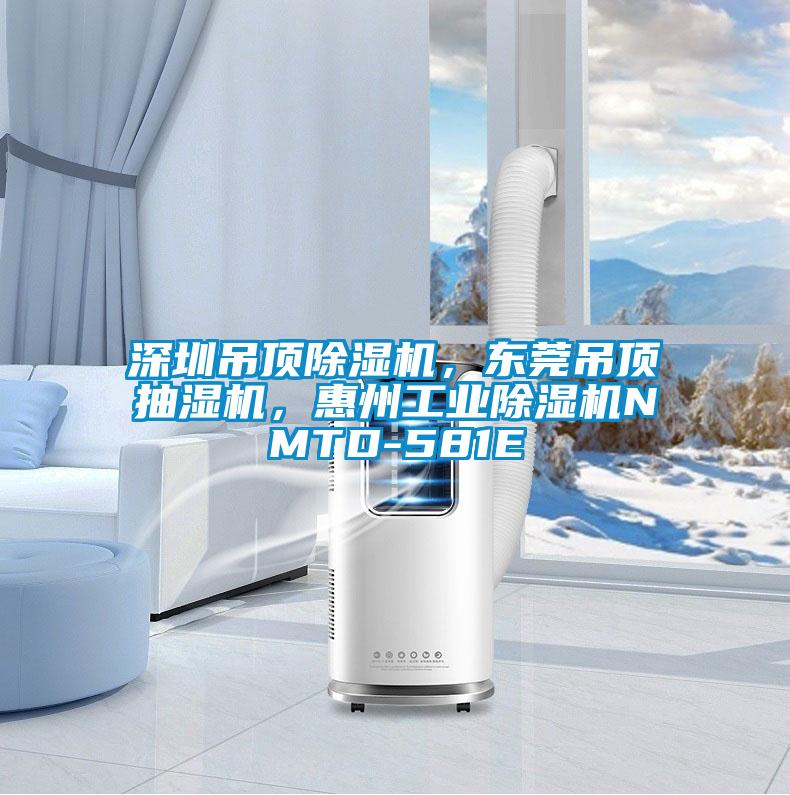 深圳吊頂除濕機(jī)，東莞吊頂抽濕機(jī)，惠州工業(yè)除濕機(jī)NMTD-581E