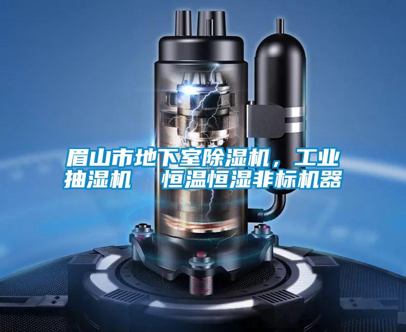 眉山市地下室除濕機，工業(yè)抽濕機  恒溫恒濕非標機器