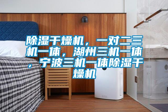 除濕干燥機，一對二三機一體，湖州三機一體，寧波三機一體除濕干燥機